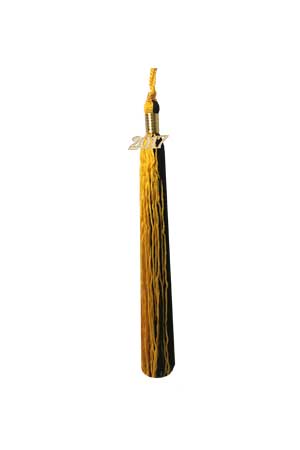 Black and Gold Graduation Tassel Picture